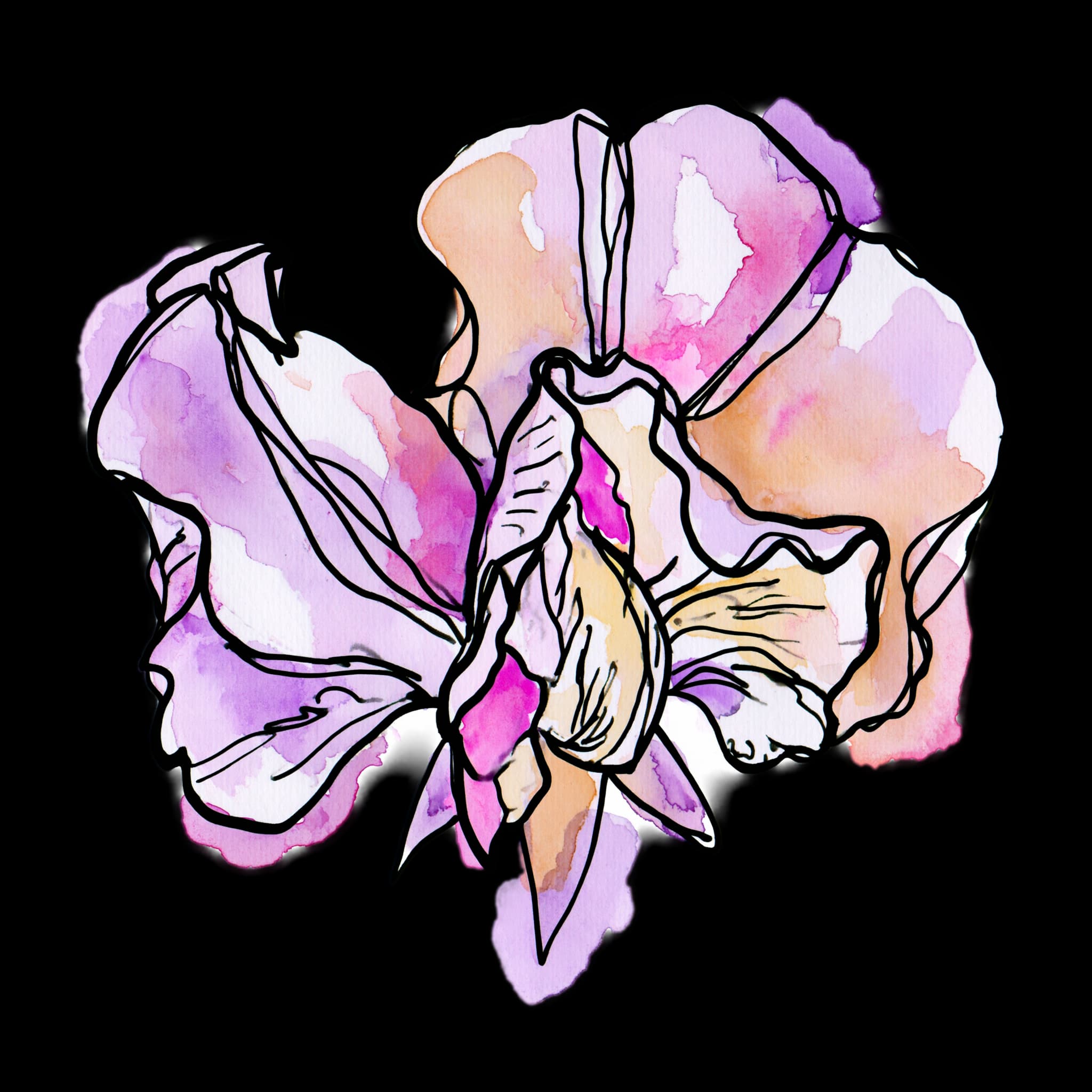 Sweet Pea