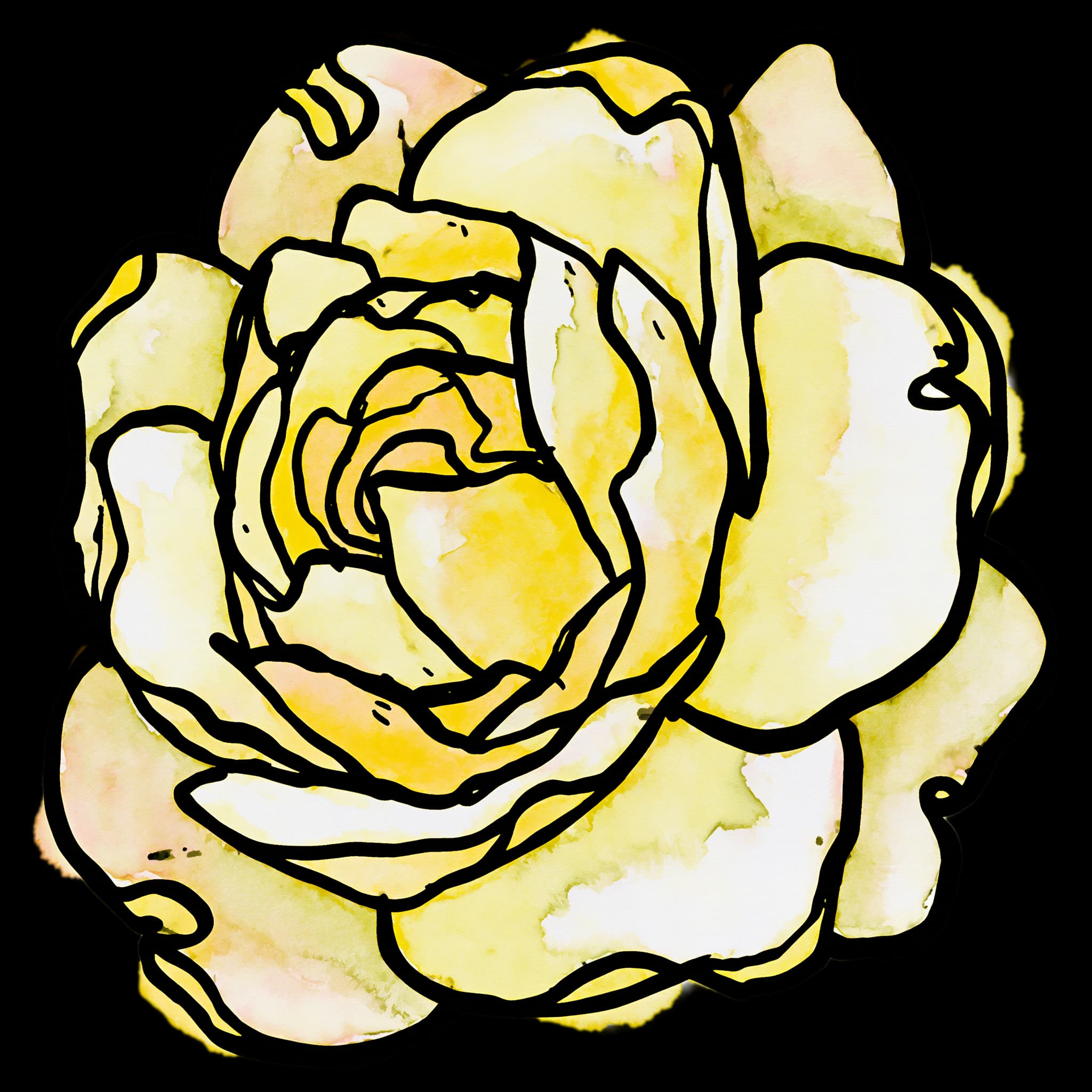 Yellow Rose
